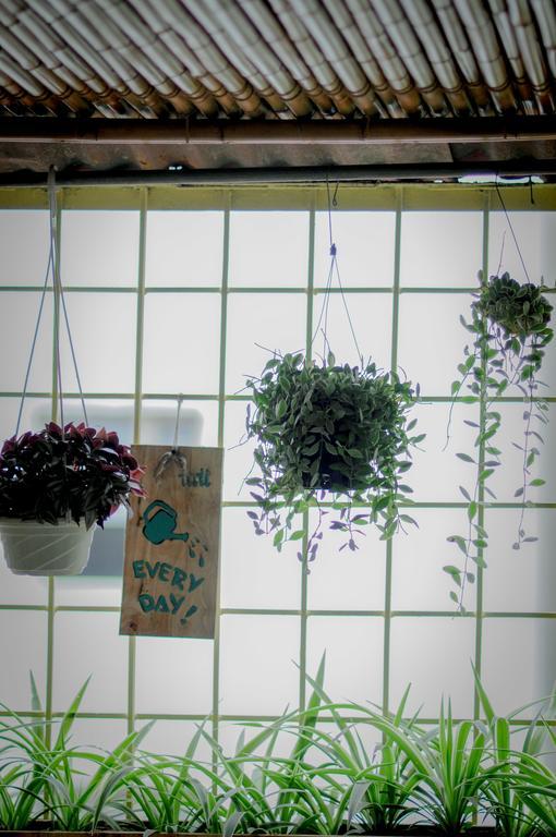 Tuti Tong Dan Homestay ฮานอย ภายนอก รูปภาพ